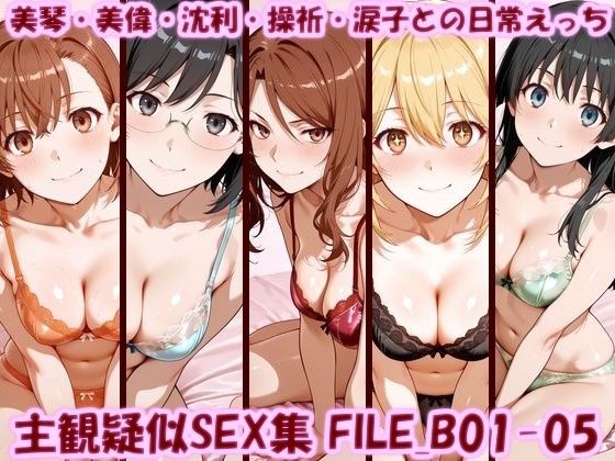 主観疑似SEX集 FILE_B01-05 美琴・美偉・沈利・操祈・涙子との日常えっち|美乳淫[イラスト・CG集]評価
